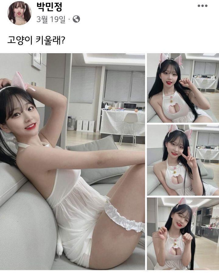 고양이 키우실래요?