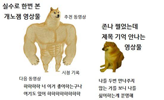 유튜브 알고리즘 특