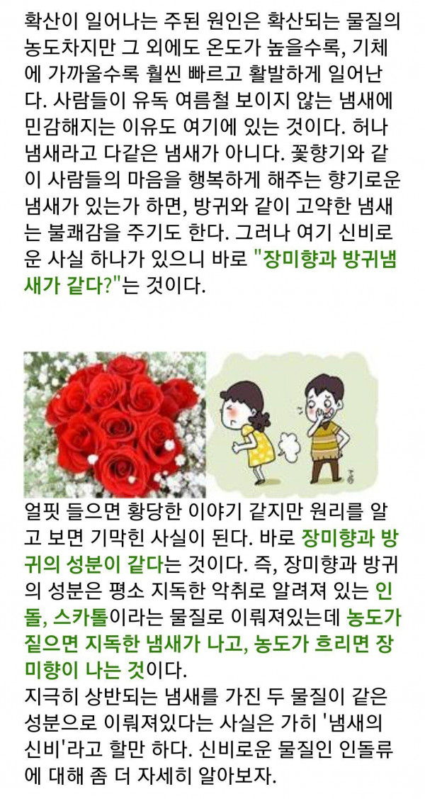 내 방귀는 장미향이야.jpg