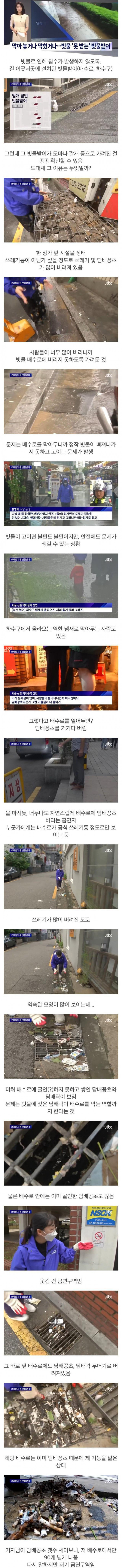 장마철 길거리 담배꽁초 근황