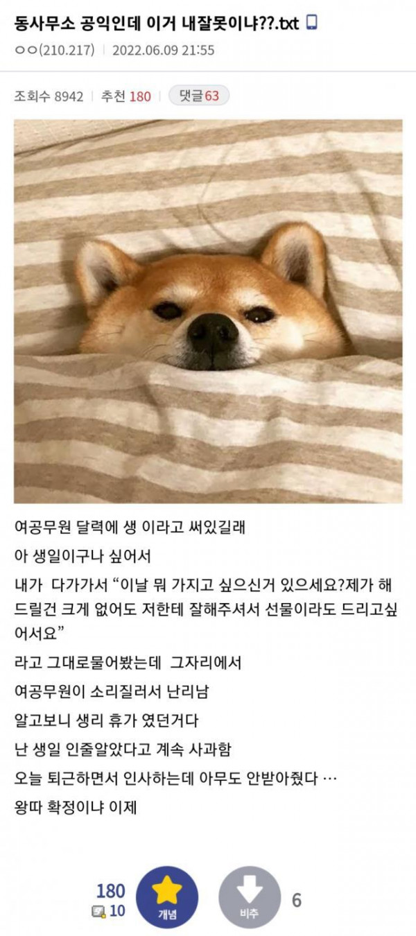 사고친 동사무소 공익.txt