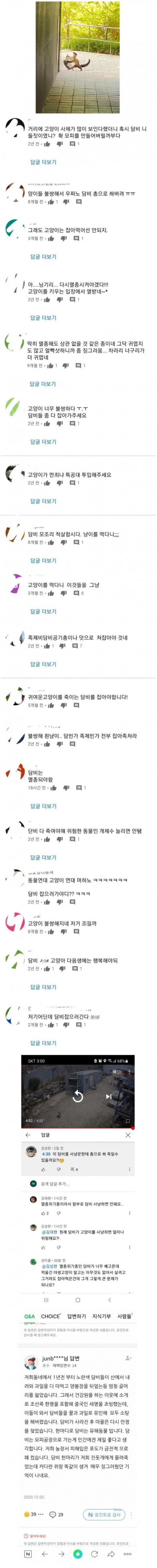 캣맘들의 이중성