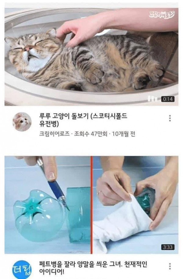 알고리즘 레전드