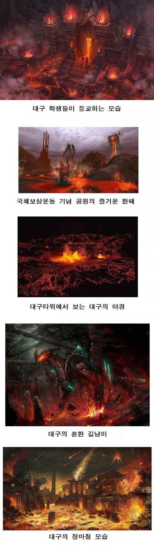 평범한 대구의 일상