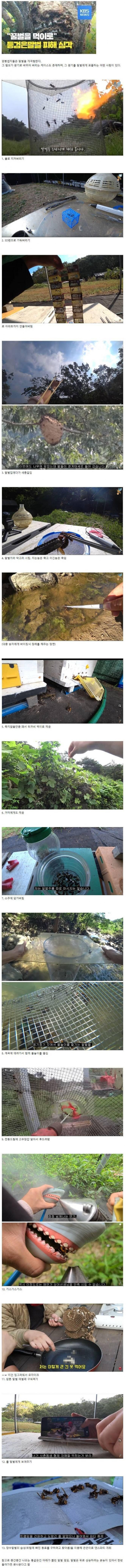 말벌에게 복수하는 양봉업자..jpg