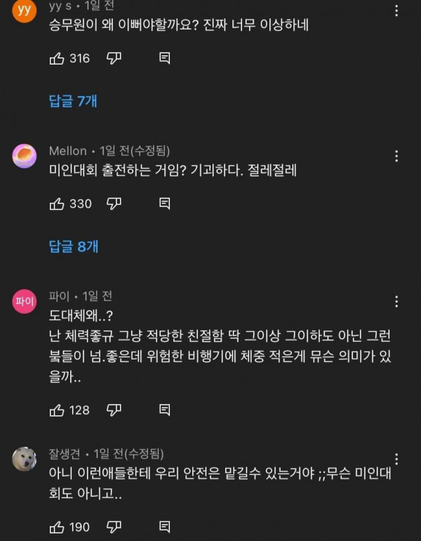 유튜브 승무원 외모 논란