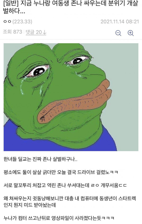 지금 누나랑 여동생 존나 싸우는데 분위기 개살벌하다..