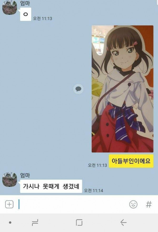 아들의 일본인 여자친구가 탐탁치 못한 어머니