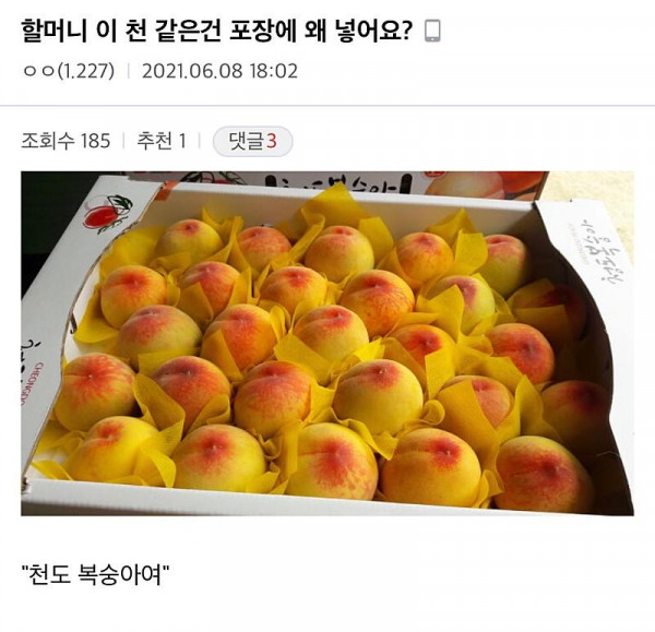 복숭아 팔때 천 씌우는 이유