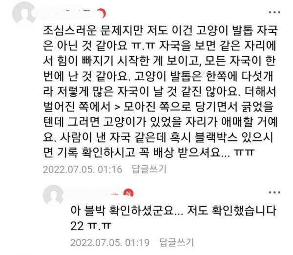 고양이는 차 안 긁는다니까요