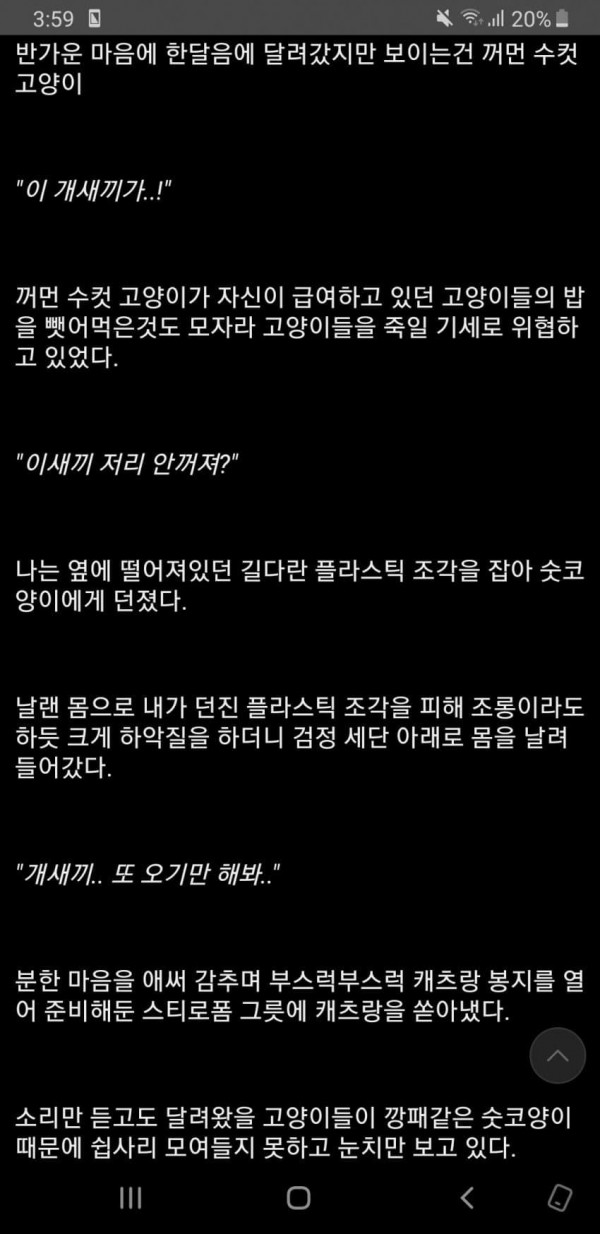 냥갤문학