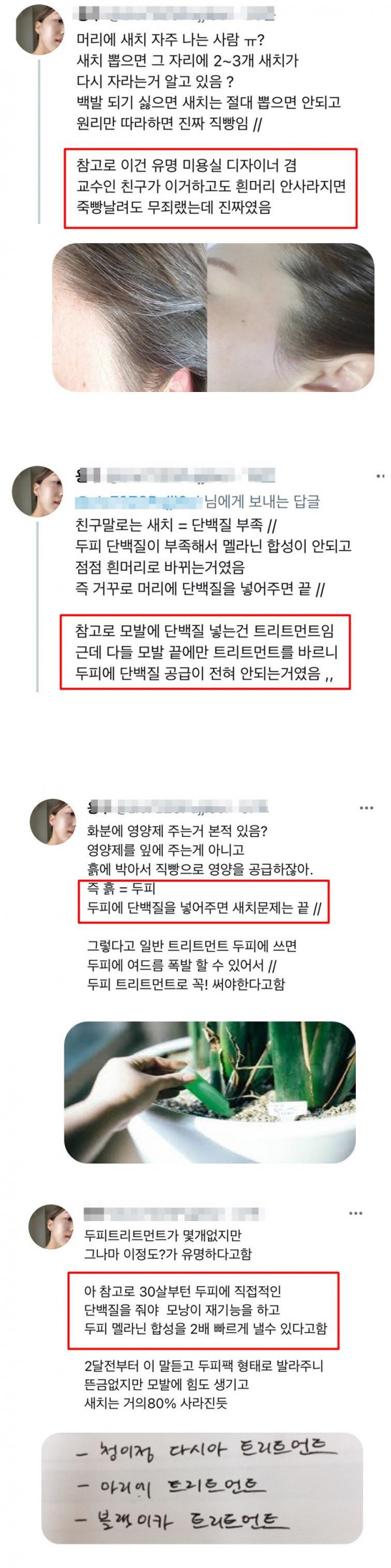 새치나는 사람들한테 도움됨